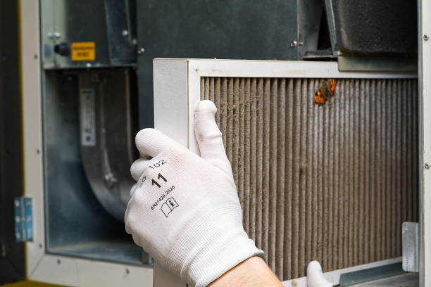 Best Air Duct Mold Removal  in Bigfoot, TX