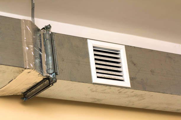 Best Air Vent Cleaning Services  in Bigfoot, TX